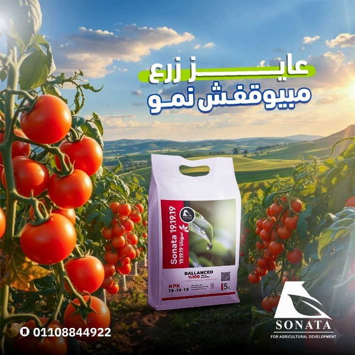 سوناتا  NPK 19-19-19 