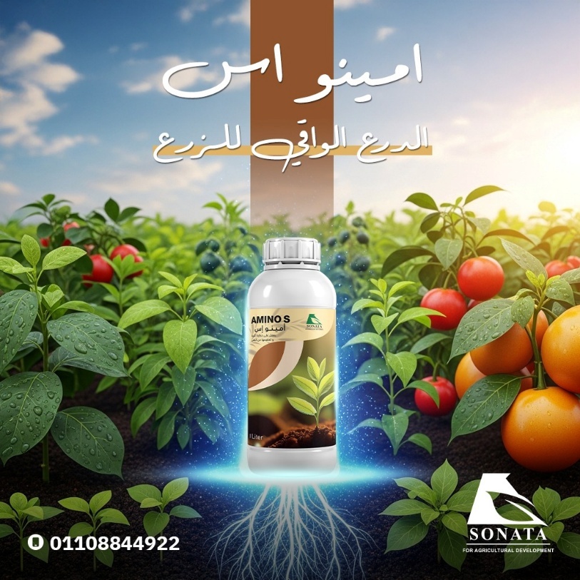 إنسولين