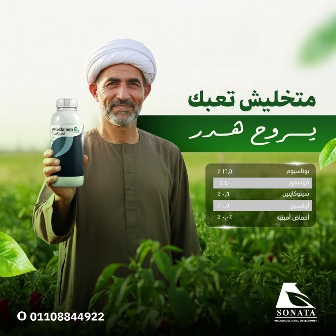 فـوسـتالـيـن 
