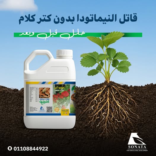  أمينو كير