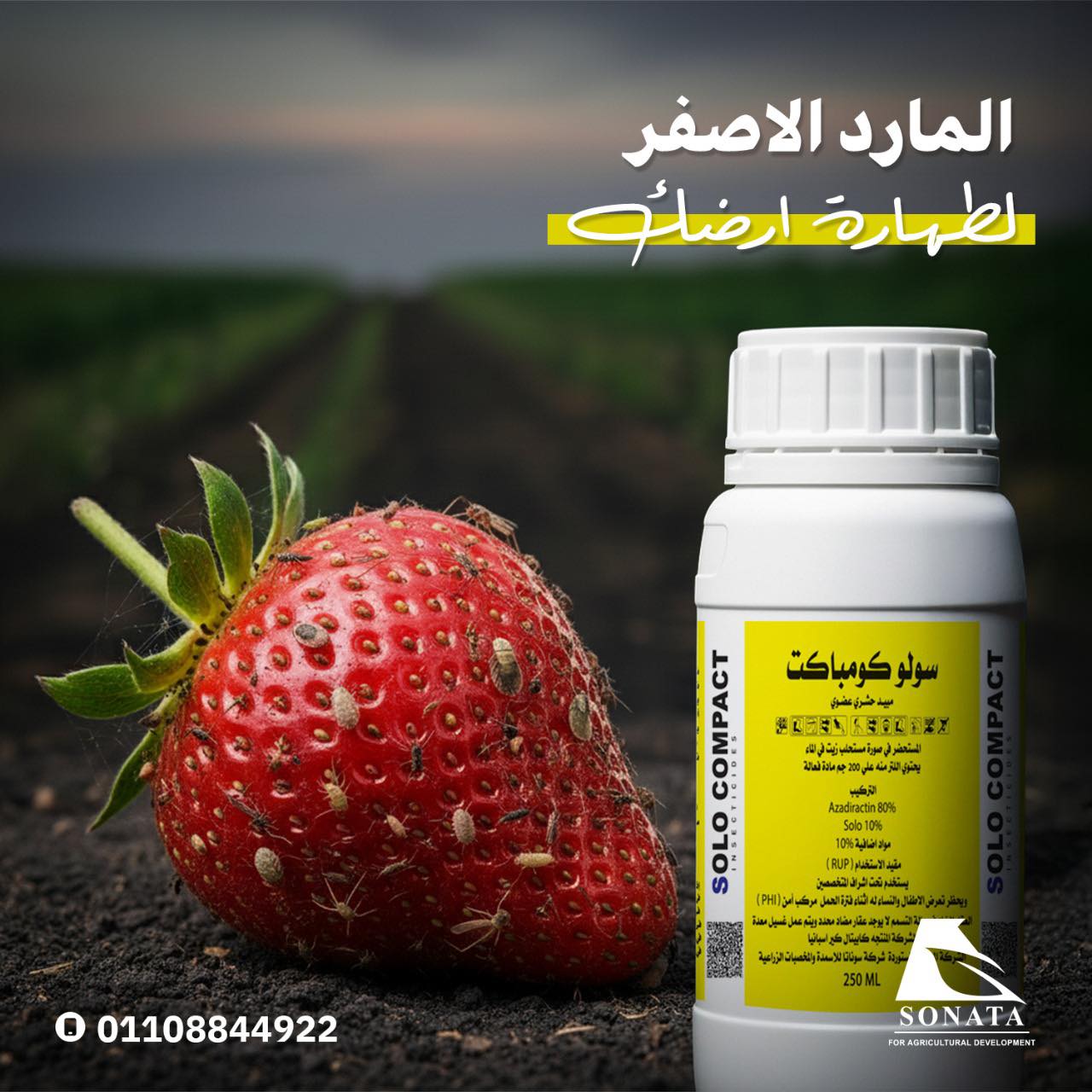  سولو كومباكت